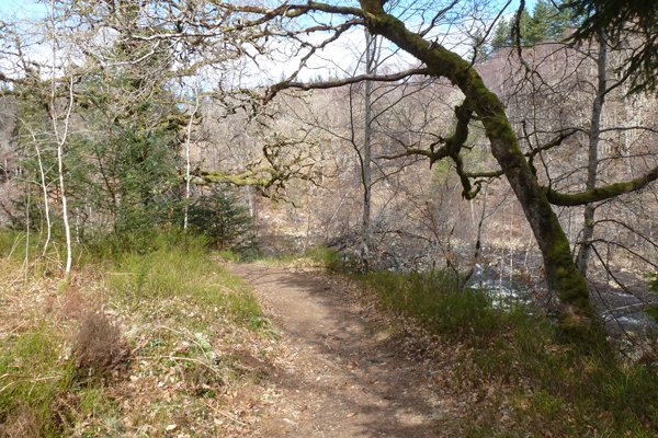 The Ciste Dubh Trail by River Garry