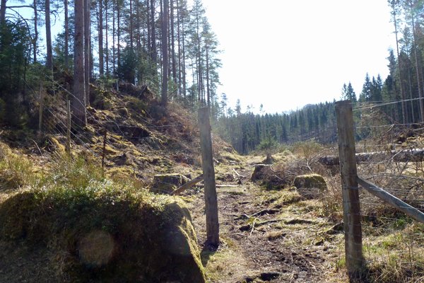 The return path on Ciste Dubh Trail