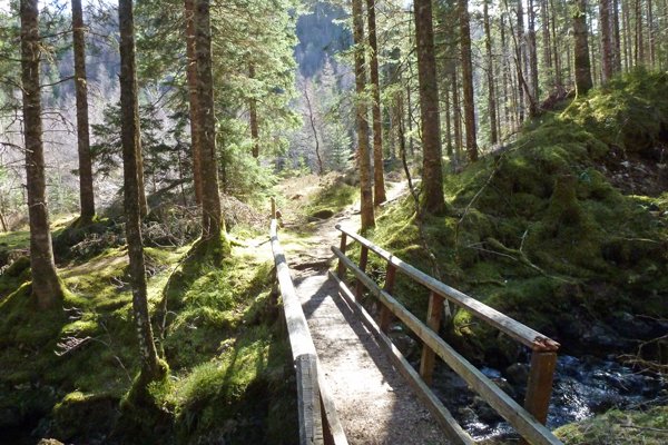 Bridge crossing on the Alt na Cailliche Trail