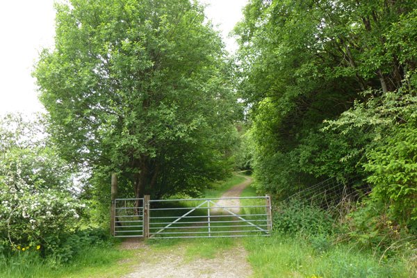 The start of the walk at Glen Loy Forestry Commission car park