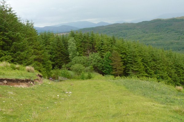 The rough grassland/heath at end of walk affording fine views of the Nevis Range