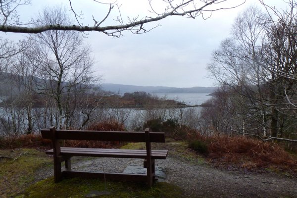 The seat at the top of the Ardery Loop