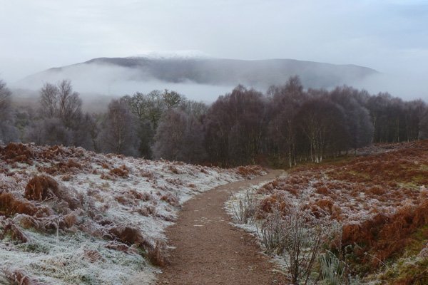 The path at the start of the walk heading to the River Spean