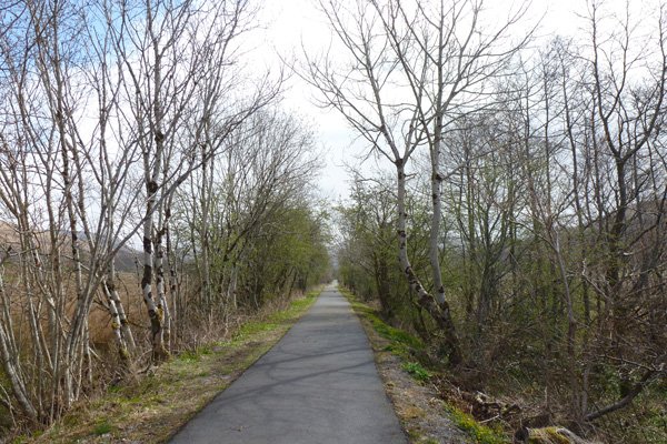 Section along the disused railway line