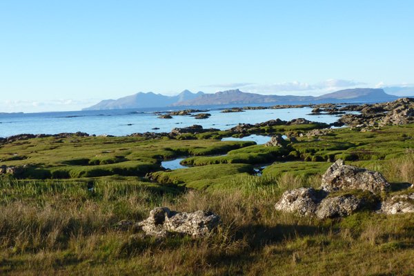 A lovely section of saltmarsh to the west