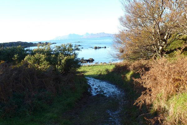The track near the beach 