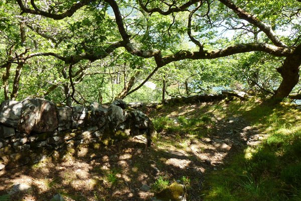The devils staircase