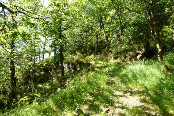 Near the start of the old road by kinacarra