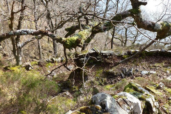 The devil's staircase