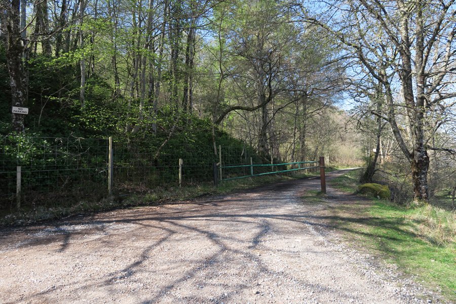 Follow the track right along the southern shores of Loch Arkaig
