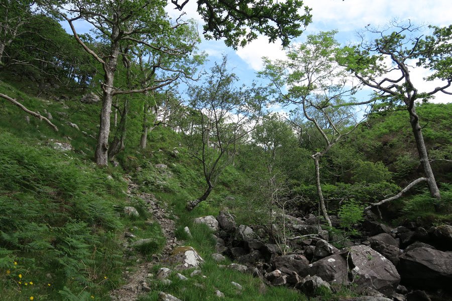 Loch Mama Walk