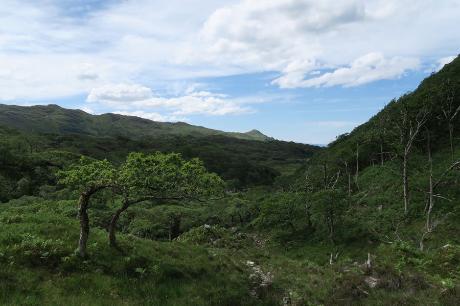 Loch Mama Walk