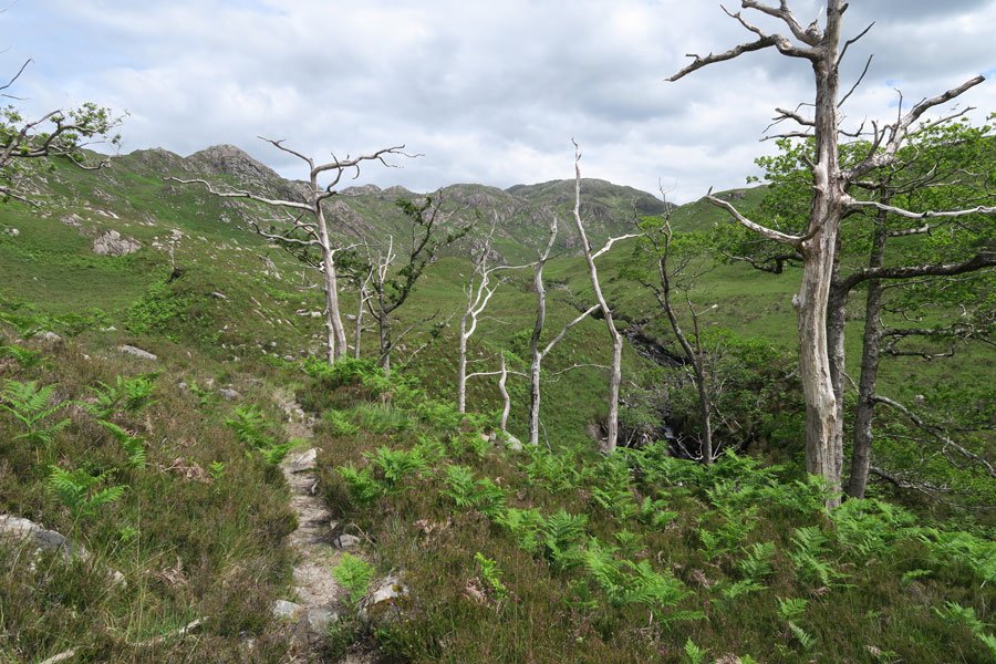 Loch Mama Walk