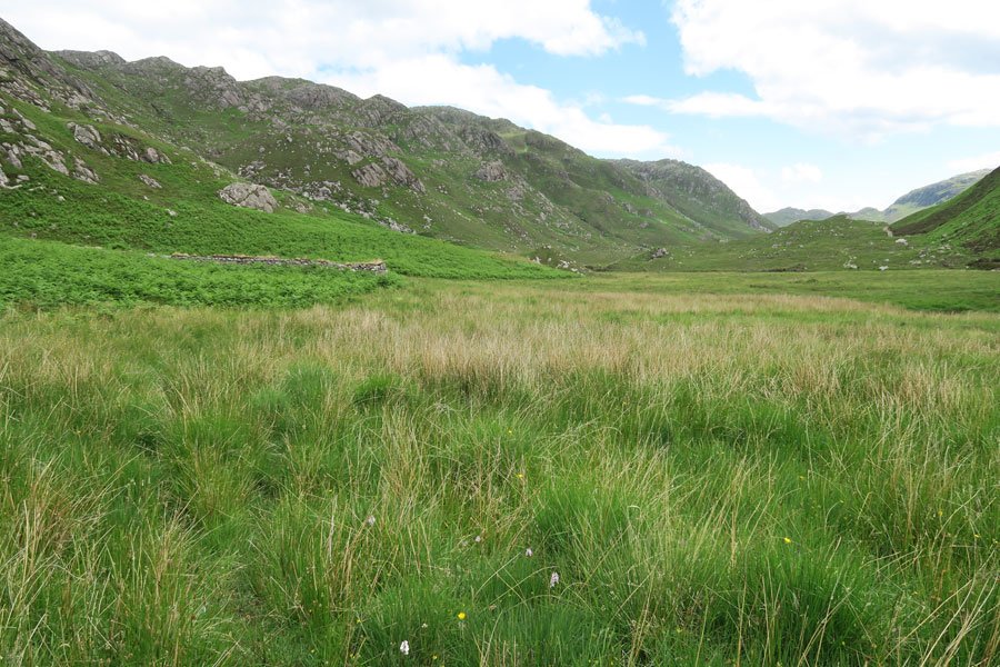 Loch Mama Walk