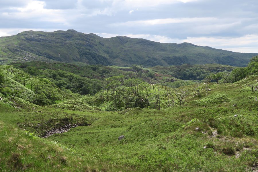 Loch Mama Walk