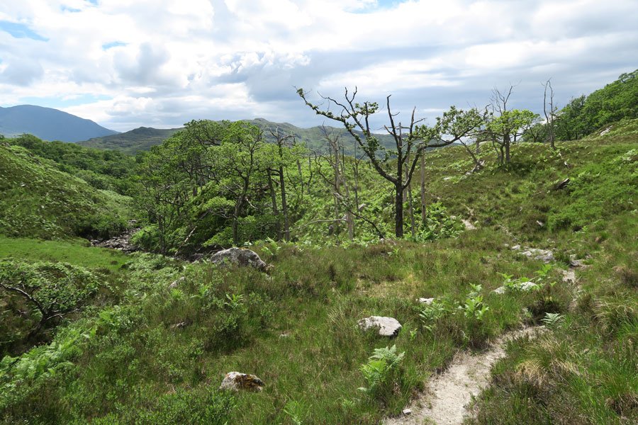 Loch Mama Walk