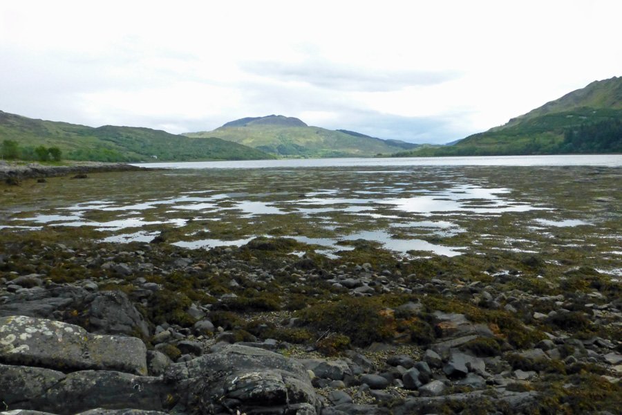 The shoreline of Loch Teacuis