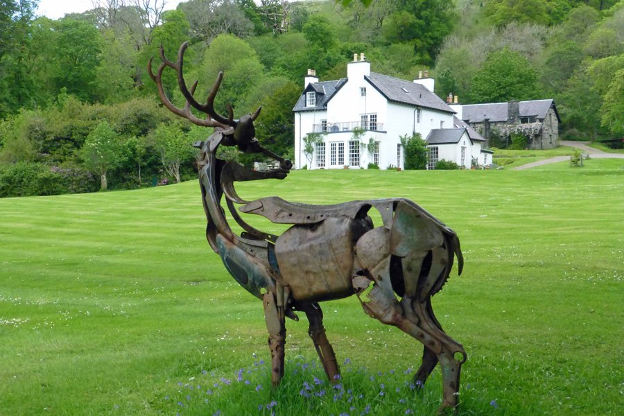 Look out for red deer in the grounds of Rahoy House