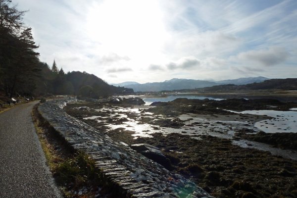 Look out for otters in Loch Moidart when the tide is in