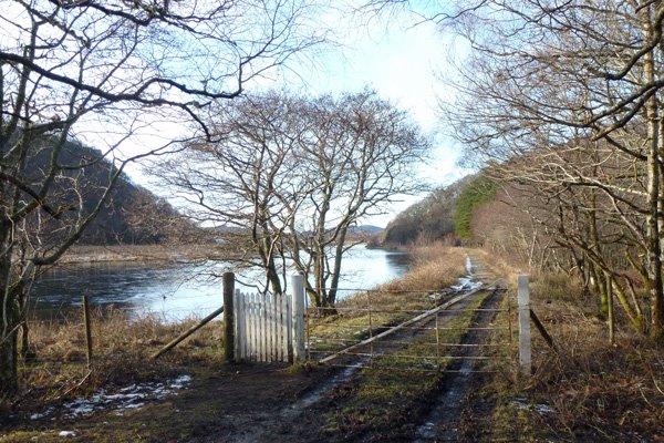 The white gate - the end, or an alternate start point for the walk
