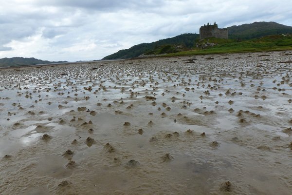 Castle Tioram at low tide