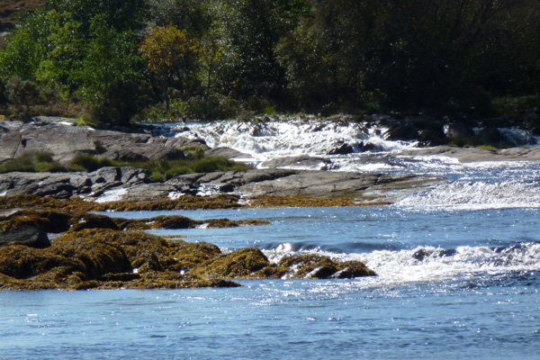 the rapids where the River Shiel joins Loch Moidart