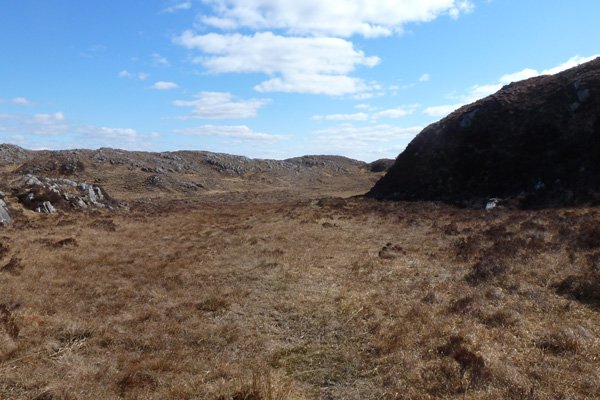 Indistinct path through a boggy area 