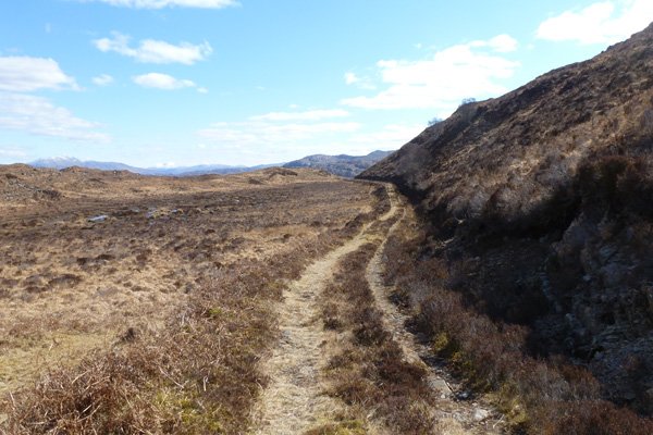 Path through heathland