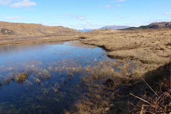One of the lovely lochans (Lochan na Glaice) seen on route