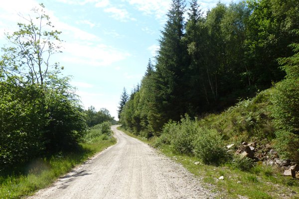 The forest track from Polloch to Loch Shiel