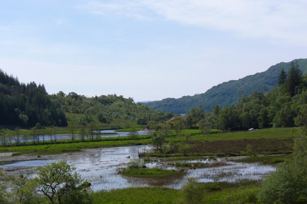 The River Polloch and marshland