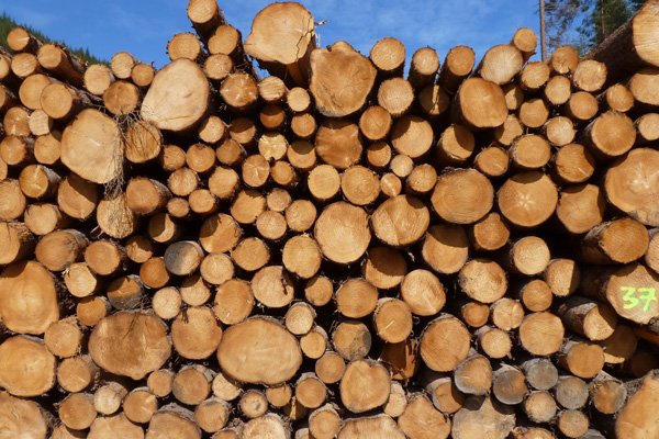 A timber stack (keep off)