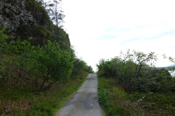 Continue following the track
