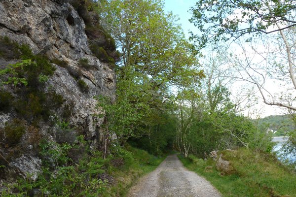 There are some lovely wooded sections on route