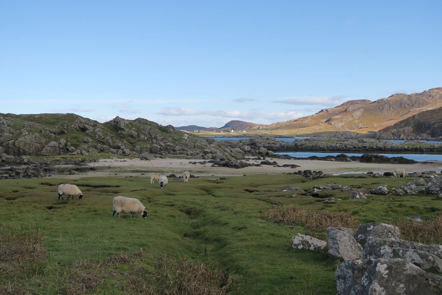 Portuairk and Bay MacNeil Walk