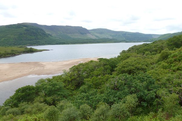 Looking over the woodland canopy to Loch Arienas