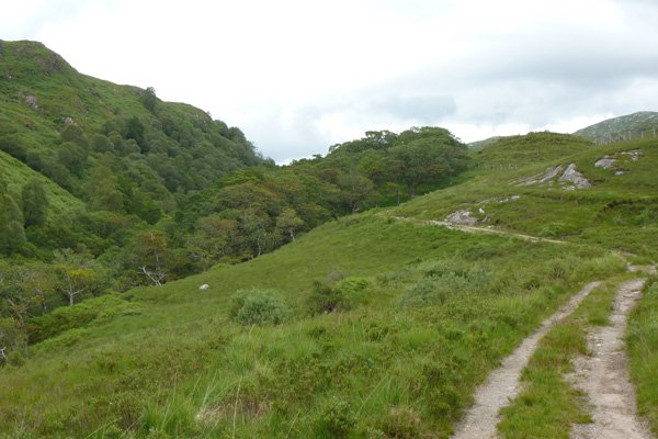 The track runs along side an increasingly steeply sided wooded valley