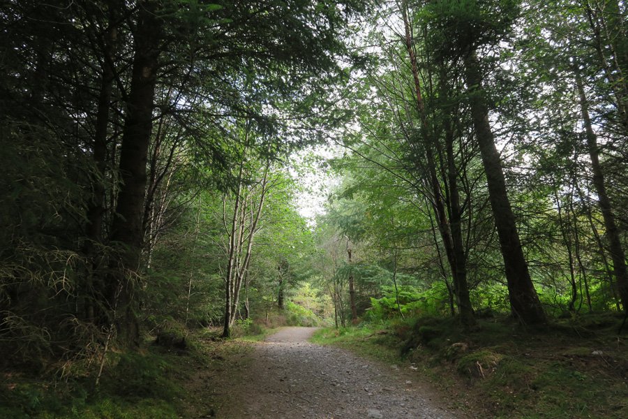 The track down to The River Lundy