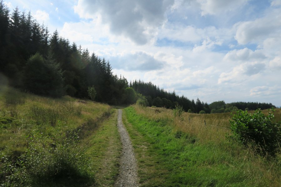 The path skirting the open meadows
