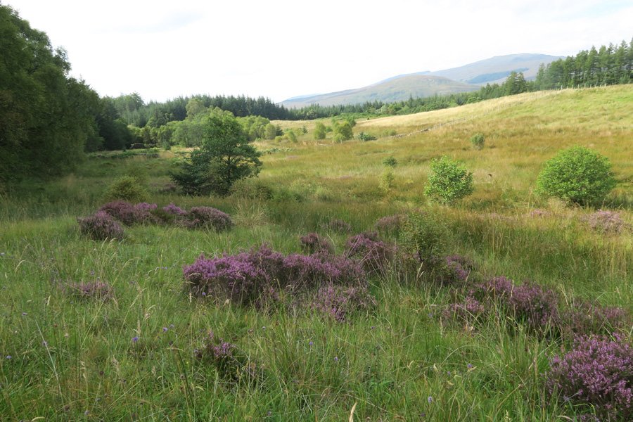Views in late July