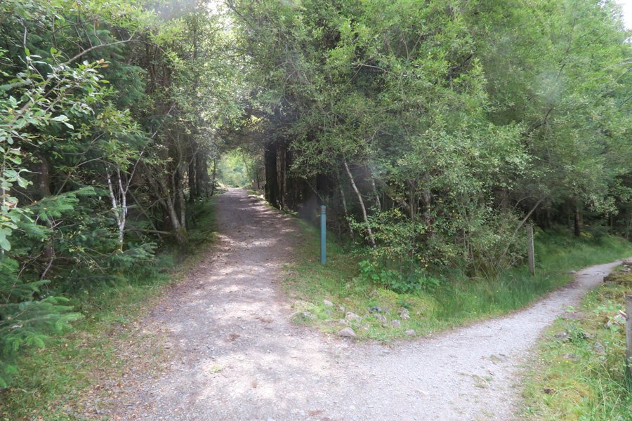 Take the left path...