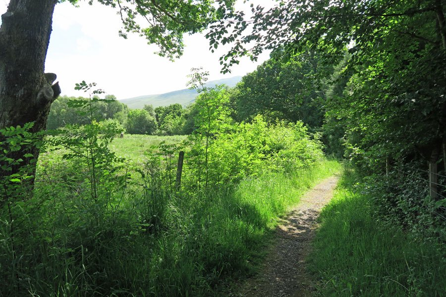 Follow the footpath