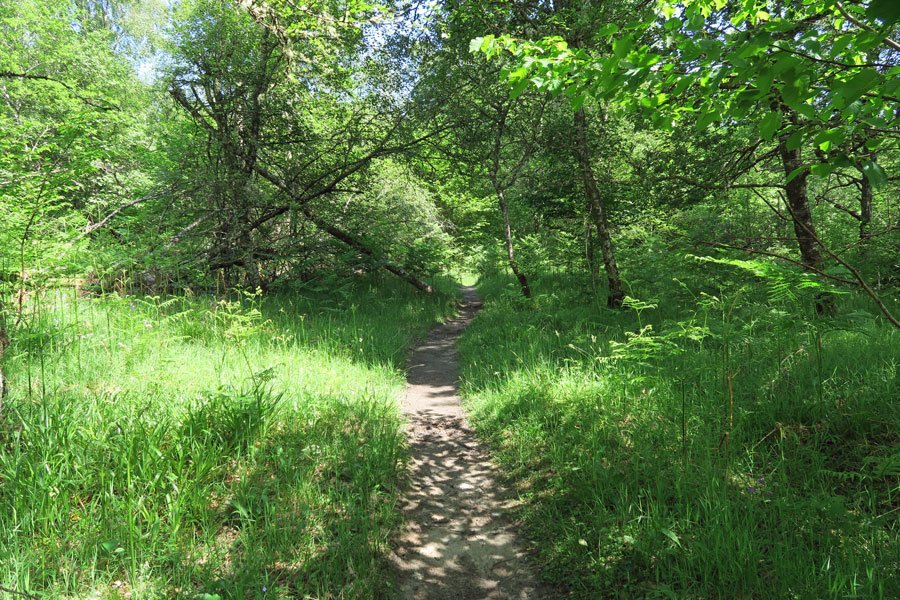 Keep to the path...