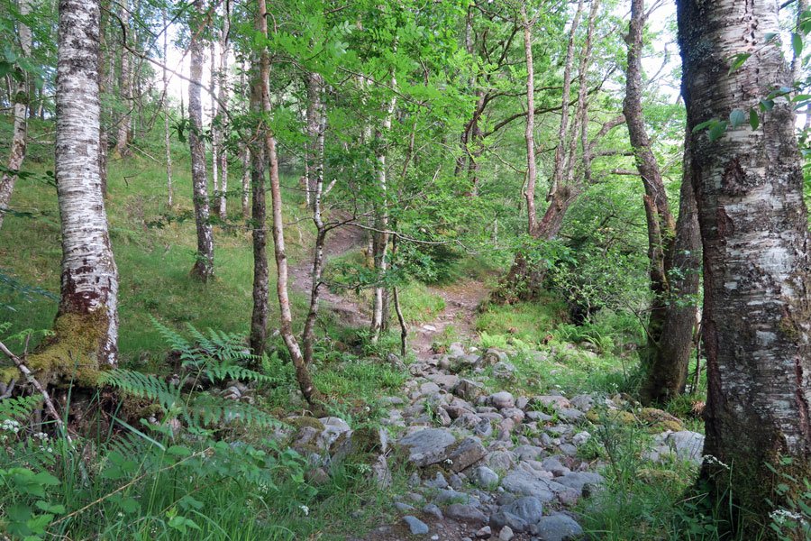 Keep right, following the river bank