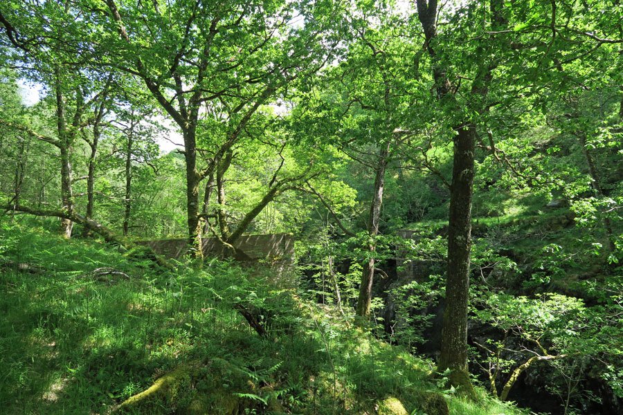 Ascend to the remains of the old bridge - the path is less distinct here