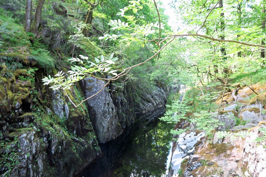 The narrow gorge