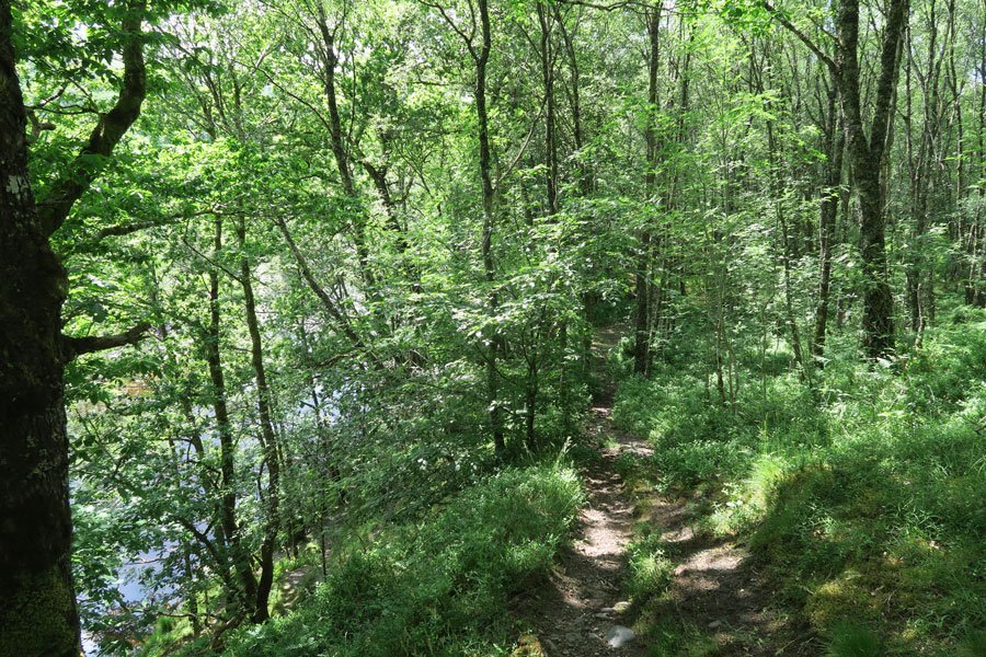 Descending along the path to the River Spean