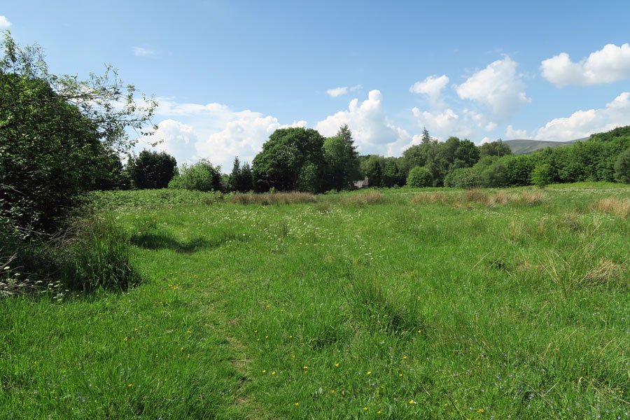 Look out for chequered skipper and meadow browns