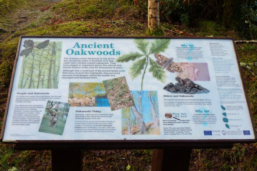 The Sunart Oakwoods interpretation board