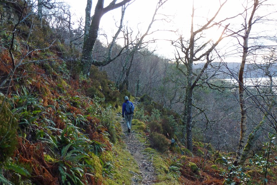 Well defined paths on the Salen Oakwoods walk
